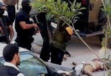 Des loups solitaires à la meute organisée