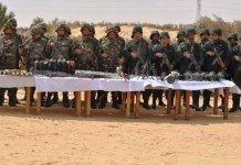 Algérie, Tunisie, Libye: Alerte aux stingers