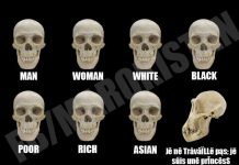 « La Fatifleur » est une quintessence de connasse