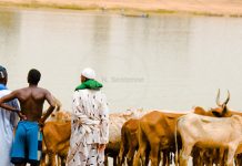 Niger, l’interdiction de la prière violemment contestée