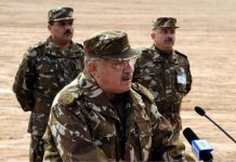 Algérie, Ahmed Gaïd Salah chercherait à constituer un conseil présidentiel