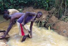 La prédation empoisonne la Centrafrique