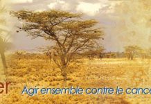 L’Afrique impuissante face au cancer