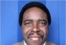 Gouandjika, le redoutable gourou de Touadera