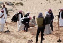 Les responsabilités du régime égyptien dans le carnage du Nord-Sinaï