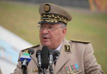 La rencontre décisive entre Gaïd Salah et Emmanuel Macron