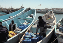 La Mauritanie dans les filets chinois