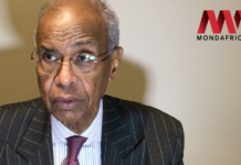 Ahmedou Ould Abdallah, démocratie et tribalisme