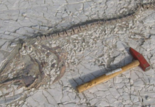 L’assèchement du lac Tchad suscite des convoitises