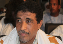 Mauritanie, entretien avec Mohamed Ould Maouloud