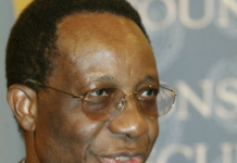 Cameroun, Martin Bélinga Eboutou, un nouveau paria