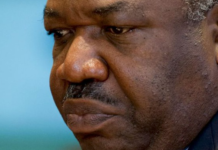 Ali Bongo survole les institutions