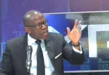 RDCongo, les mines pillées par les multinationales