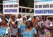 Le Cameroun inquiète l’Elysée