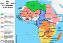 Halte au feu en Afrique centrale !