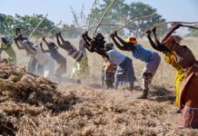 L’éducation des filles en Afrique: un enjeu décisif