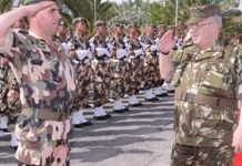 Algérie, la tentative ratée d’éviction de Gaïd Salah Gaid Salah