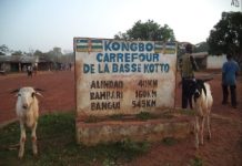 Centrafrique, deux prêtres assassinés dans le Sud Est