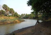 Afrique centrale, les Parcs nationaux sanctuaires du terrorisme