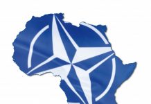 L’agenda de l’OTAN au Sahel encouragé par Emmanuel Macron