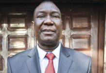 Après François Bozizé, Michel Djotodia de retour en Centrafrique