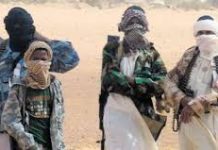 Série Mali (3), guerres djihadistes fratricides