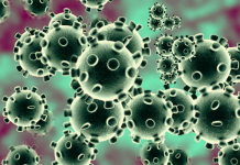 Chloroquine, le formidable retard à l’allumage