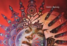 Congo Brazzaville, les ressorts de la dictature