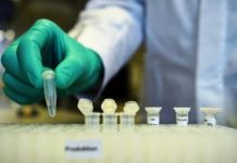 Au Maghreb, le terme de « confinement » semble infesté par le virus