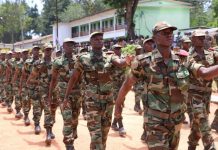 Centrafrique (volet 1), des inquiétants bruits de bottes