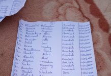 Niger, une enquête officielle sur les exécutions de civils