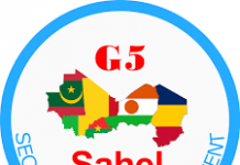 G5 Sahel, l’ONU face aux exactions des armées nationales