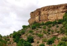 Des Dogons harcelés par la milice dans le centre du Mali