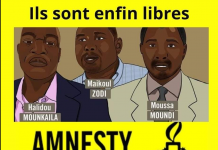 3 activistes des droits humains libérés au Niger