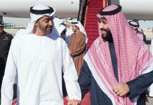 La sourde rivalité entre Émiratis et Qataris pour l’accès à la mer Rouge