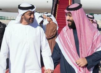 La sourde rivalité entre Émiratis et Qataris pour l’accès à la mer Rouge