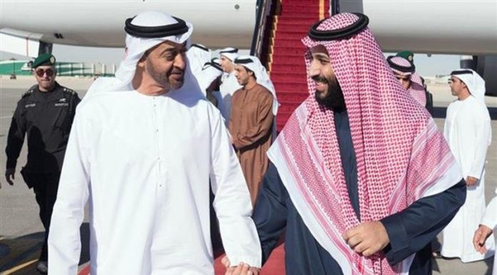 La sourde rivalité entre Émiratis et Qataris pour l’accès à la mer Rouge