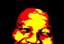 Que Nelson Mandela guide nos pas !