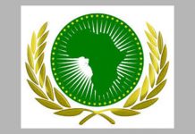 Union Africaine, la probable reconduction de Moussa Faki Mahamat