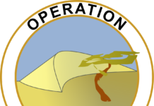 Mali, des soldats de Barkhane visés par un attentat