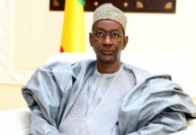 Best of Mali (5/10), le Conseil de transition en apesanteur