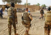 Série (2), le jihad peul dans la zone des « trois frontières »