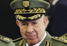 Algérie, le cabinet noir du chef des armées, Saïd Chengriha