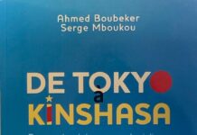 Tokyo et Kinshasha, ces villes pionnières saisies par la démesure
