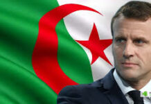 Paris-Alger (volet 2), quand Macron finança sa campagne en Algérie