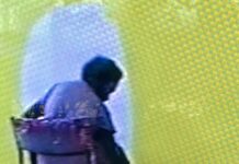 Le choc de la peinture de Sally Gabori, artiste universelle (d’origine aborigène)