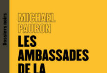 Un livre sans complaisance sur « les Ambassades de la Françafrique »