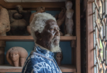 L’artiste nigérian Demas Nwoko se bat contre le réchauffement du climat