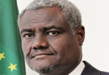 L’Union Africaine (UA): « un tigre sans dents »