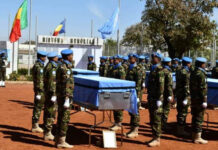 Mali, le lourd tribut des casques bleus